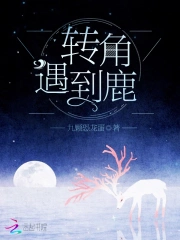转角遇到鹿